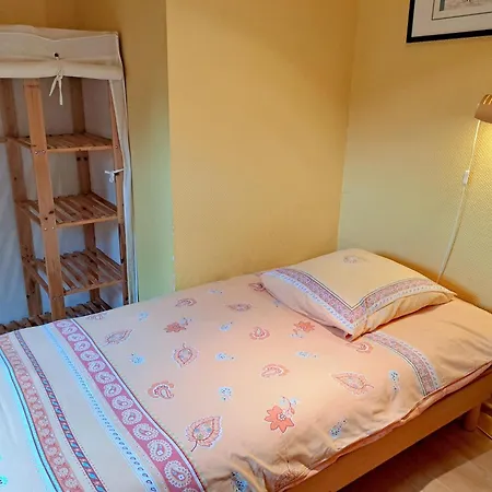 公寓 Flat On Small Farm With Indoor Pool Many Activities Kindwiller
