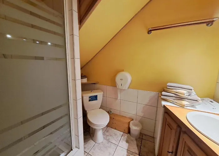 Flat On Small Farm With Indoor Pool Many Activities,kindwiller Apartment *